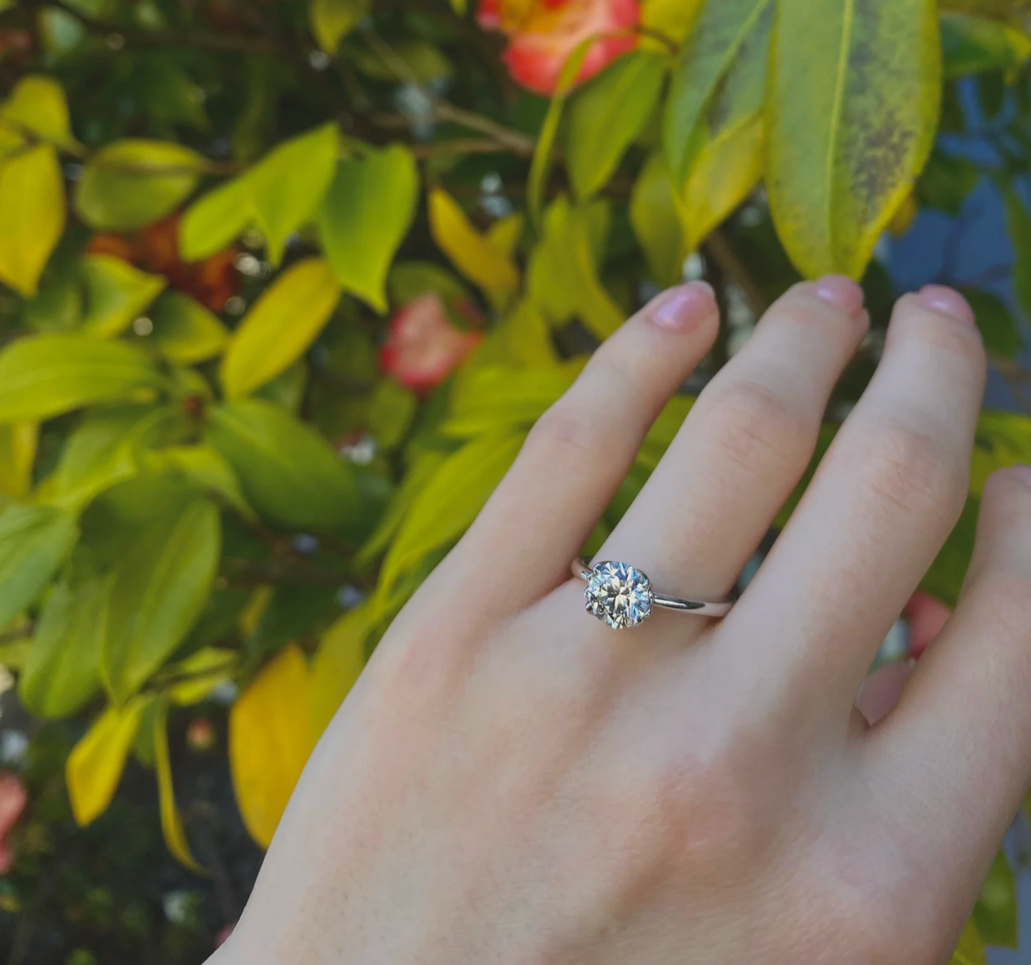 Mariposa Diamond Solitaire set with Hearts On Fire Diamond in Platinum