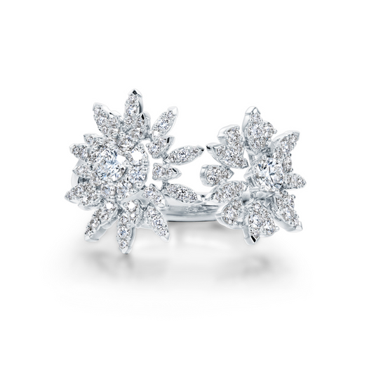 Aerial Double Sunburst Ring