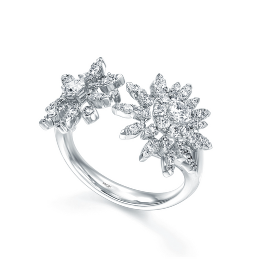 Aerial Double Sunburst Ring
