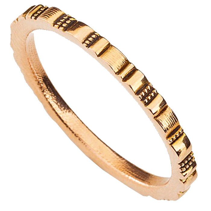 Alex Sepkus Ridges Band
